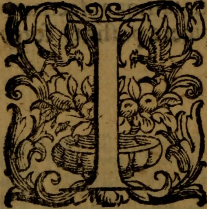 An illustration from De nobilitate medici contra illius obtrectatores dialogus tripartitus : in quo rationibus, exemplis, sapientumque auctoritatibus, Sacrae Scripturae, ac utriusque juris comprobatur medicum jurisprudente esse nobiliorem ; postea de omnibus scientijs, artibus hactenus cognitis, etiam magicis compendiosus habetur tractatus ..., 1605, leaf 13