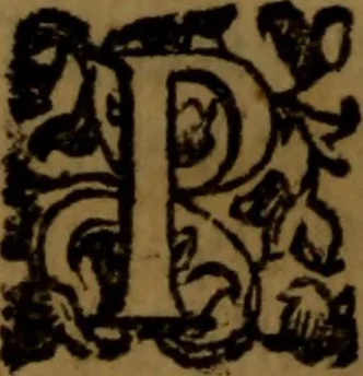 An illustration from De nobilitate medici contra illius obtrectatores dialogus tripartitus : in quo rationibus, exemplis, sapientumque auctoritatibus, Sacrae Scripturae, ac utriusque juris comprobatur medicum jurisprudente esse nobiliorem ; postea de omnibus scientijs, artibus hactenus cognitis, etiam magicis compendiosus habetur tractatus ..., 1605, leaf 13