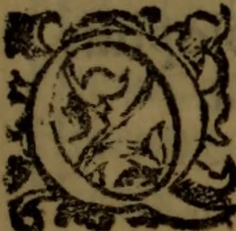 An illustration from De nobilitate medici contra illius obtrectatores dialogus tripartitus : in quo rationibus, exemplis, sapientumque auctoritatibus, Sacrae Scripturae, ac utriusque juris comprobatur medicum jurisprudente esse nobiliorem ; postea de omnibus scientijs, artibus hactenus cognitis, etiam magicis compendiosus habetur tractatus ..., 1605, leaf 14