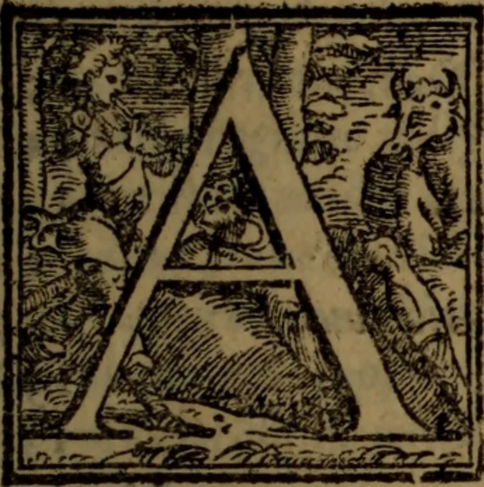 An illustration from De nobilitate medici contra illius obtrectatores dialogus tripartitus : in quo rationibus, exemplis, sapientumque auctoritatibus, Sacrae Scripturae, ac utriusque juris comprobatur medicum jurisprudente esse nobiliorem ; postea de omnibus scientijs, artibus hactenus cognitis, etiam magicis compendiosus habetur tractatus ..., 1605, leaf 18