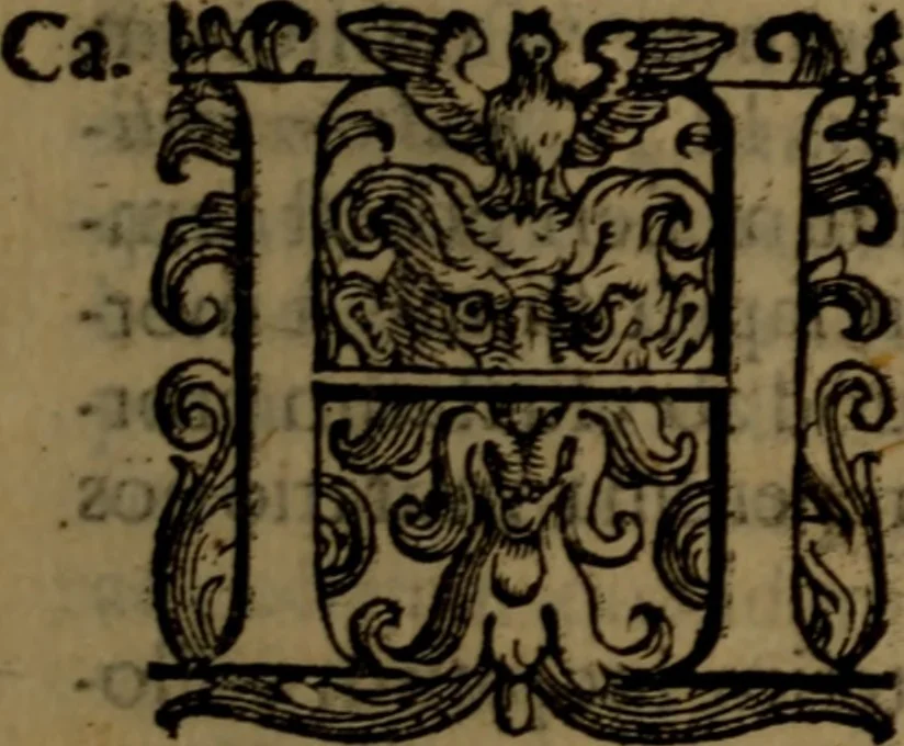 An illustration from De nobilitate medici contra illius obtrectatores dialogus tripartitus : in quo rationibus, exemplis, sapientumque auctoritatibus, Sacrae Scripturae, ac utriusque juris comprobatur medicum jurisprudente esse nobiliorem ; postea de omnibus scientijs, artibus hactenus cognitis, etiam magicis compendiosus habetur tractatus ..., 1605, leaf 212