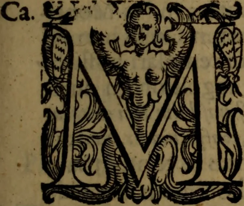 An illustration from De nobilitate medici contra illius obtrectatores dialogus tripartitus : in quo rationibus, exemplis, sapientumque auctoritatibus, Sacrae Scripturae, ac utriusque juris comprobatur medicum jurisprudente esse nobiliorem ; postea de omnibus scientijs, artibus hactenus cognitis, etiam magicis compendiosus habetur tractatus ..., 1605, leaf 38