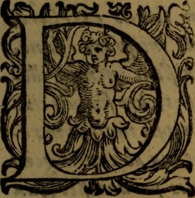 An illustration from De nobilitate medici contra illius obtrectatores dialogus tripartitus : in quo rationibus, exemplis, sapientumque auctoritatibus, Sacrae Scripturae, ac utriusque juris comprobatur medicum jurisprudente esse nobiliorem ; postea de omnibus scientijs, artibus hactenus cognitis, etiam magicis compendiosus habetur tractatus ..., 1605, leaf 8
