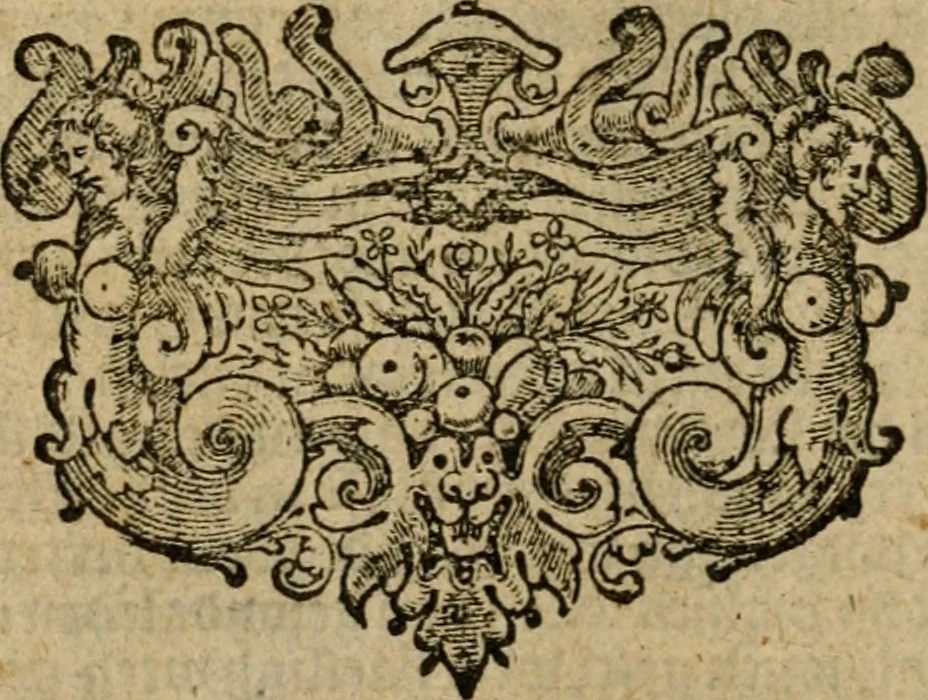 An illustration from Spiegel van den ouden ende nieuwen-tijt : bestaende uyt spreeck-woorden, ontleent van de voorige ende jegenwoordige eeuwe, verlustigt door menichte van sinne-beelden, met gedichten en prenten daer op passende, 1648, leaf 341