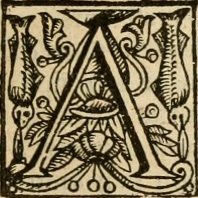 An illustration from De Novo orbe, or, the historie of the West Indies : contayning the actes and adventures of the Spanyardes, which have conquered and peopled those countries, inriched with varietie of pleasant relation of the manners, ceremonies, lawes, gouernments, and warres of the Indians, 1612, leaf 110