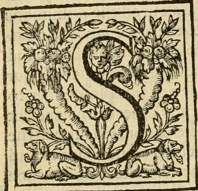 An illustration from De Novo orbe, or, the historie of the West Indies : contayning the actes and adventures of the Spanyardes, which have conquered and peopled those countries, inriched with varietie of pleasant relation of the manners, ceremonies, lawes, gouernments, and warres of the Indians, 1612, leaf 117