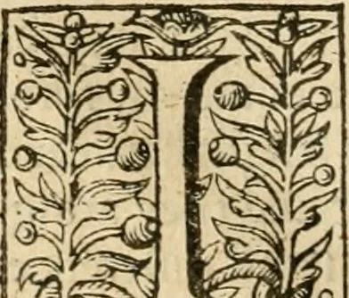 An illustration from De Novo orbe, or, the historie of the West Indies : contayning the actes and adventures of the Spanyardes, which have conquered and peopled those countries, inriched with varietie of pleasant relation of the manners, ceremonies, lawes, gouernments, and warres of the Indians, 1612, leaf 129