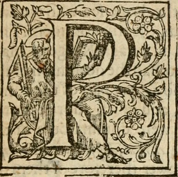 An illustration from De Novo orbe, or, the historie of the West Indies : contayning the actes and adventures of the Spanyardes, which have conquered and peopled those countries, inriched with varietie of pleasant relation of the manners, ceremonies, lawes, gouernments, and warres of the Indians, 1612, leaf 14