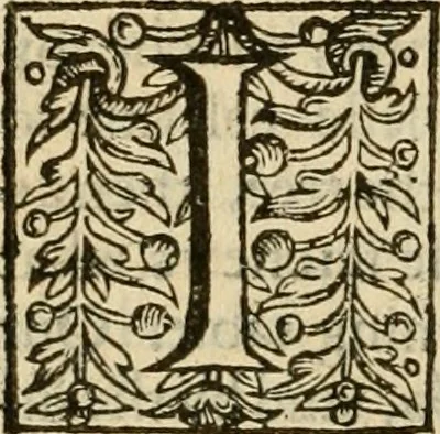 An illustration from De Novo orbe, or, the historie of the West Indies : contayning the actes and adventures of the Spanyardes, which have conquered and peopled those countries, inriched with varietie of pleasant relation of the manners, ceremonies, lawes, gouernments, and warres of the Indians, 1612, leaf 153