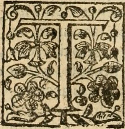 An illustration from De Novo orbe, or, the historie of the West Indies : contayning the actes and adventures of the Spanyardes, which have conquered and peopled those countries, inriched with varietie of pleasant relation of the manners, ceremonies, lawes, gouernments, and warres of the Indians, 1612, leaf 157