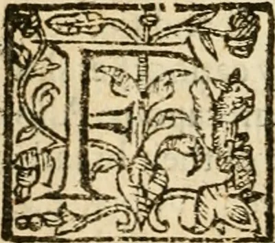 An illustration from De Novo orbe, or, the historie of the West Indies : contayning the actes and adventures of the Spanyardes, which have conquered and peopled those countries, inriched with varietie of pleasant relation of the manners, ceremonies, lawes, gouernments, and warres of the Indians, 1612, leaf 165