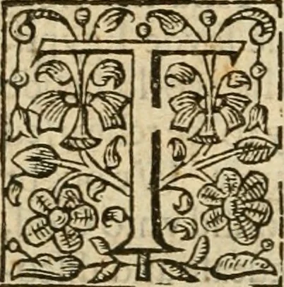 An illustration from De Novo orbe, or, the historie of the West Indies : contayning the actes and adventures of the Spanyardes, which have conquered and peopled those countries, inriched with varietie of pleasant relation of the manners, ceremonies, lawes, gouernments, and warres of the Indians, 1612, leaf 17