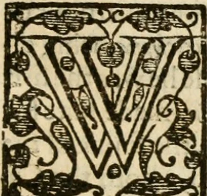 An illustration from De Novo orbe, or, the historie of the West Indies : contayning the actes and adventures of the Spanyardes, which have conquered and peopled those countries, inriched with varietie of pleasant relation of the manners, ceremonies, lawes, gouernments, and warres of the Indians, 1612, leaf 174