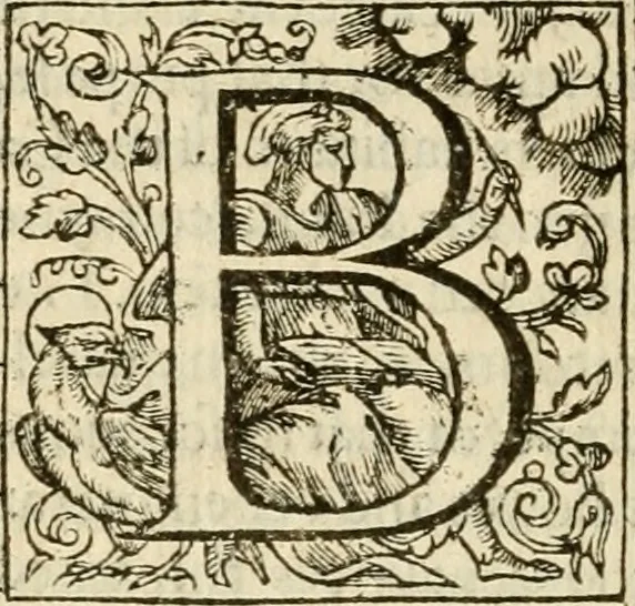 An illustration from De Novo orbe, or, the historie of the West Indies : contayning the actes and adventures of the Spanyardes, which have conquered and peopled those countries, inriched with varietie of pleasant relation of the manners, ceremonies, lawes, gouernments, and warres of the Indians, 1612, leaf 177