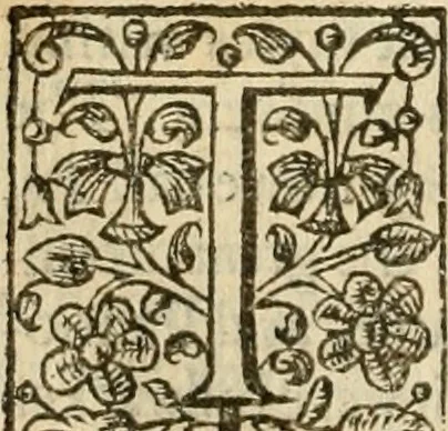 An illustration from De Novo orbe, or, the historie of the West Indies : contayning the actes and adventures of the Spanyardes, which have conquered and peopled those countries, inriched with varietie of pleasant relation of the manners, ceremonies, lawes, gouernments, and warres of the Indians, 1612, leaf 185