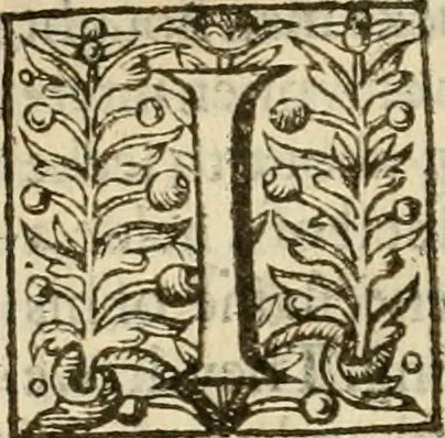 An illustration from De Novo orbe, or, the historie of the West Indies : contayning the actes and adventures of the Spanyardes, which have conquered and peopled those countries, inriched with varietie of pleasant relation of the manners, ceremonies, lawes, gouernments, and warres of the Indians, 1612, leaf 191