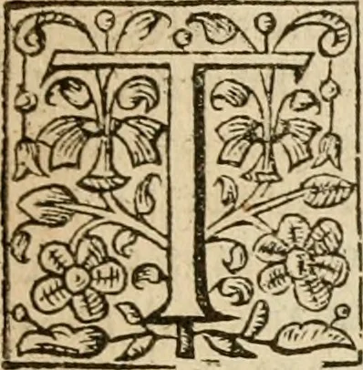 An illustration from De Novo orbe, or, the historie of the West Indies : contayning the actes and adventures of the Spanyardes, which have conquered and peopled those countries, inriched with varietie of pleasant relation of the manners, ceremonies, lawes, gouernments, and warres of the Indians, 1612, leaf 20