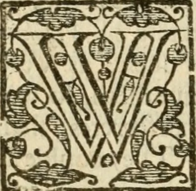An illustration from De Novo orbe, or, the historie of the West Indies : contayning the actes and adventures of the Spanyardes, which have conquered and peopled those countries, inriched with varietie of pleasant relation of the manners, ceremonies, lawes, gouernments, and warres of the Indians, 1612, leaf 213