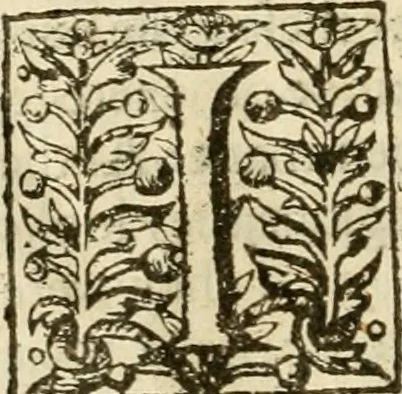 An illustration from De Novo orbe, or, the historie of the West Indies : contayning the actes and adventures of the Spanyardes, which have conquered and peopled those countries, inriched with varietie of pleasant relation of the manners, ceremonies, lawes, gouernments, and warres of the Indians, 1612, leaf 223
