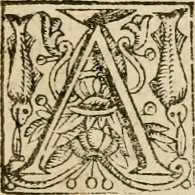 An illustration from De Novo orbe, or, the historie of the West Indies : contayning the actes and adventures of the Spanyardes, which have conquered and peopled those countries, inriched with varietie of pleasant relation of the manners, ceremonies, lawes, gouernments, and warres of the Indians, 1612, leaf 240
