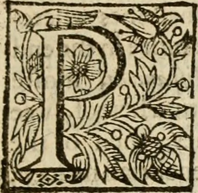 An illustration from De Novo orbe, or, the historie of the West Indies : contayning the actes and adventures of the Spanyardes, which have conquered and peopled those countries, inriched with varietie of pleasant relation of the manners, ceremonies, lawes, gouernments, and warres of the Indians, 1612, leaf 262