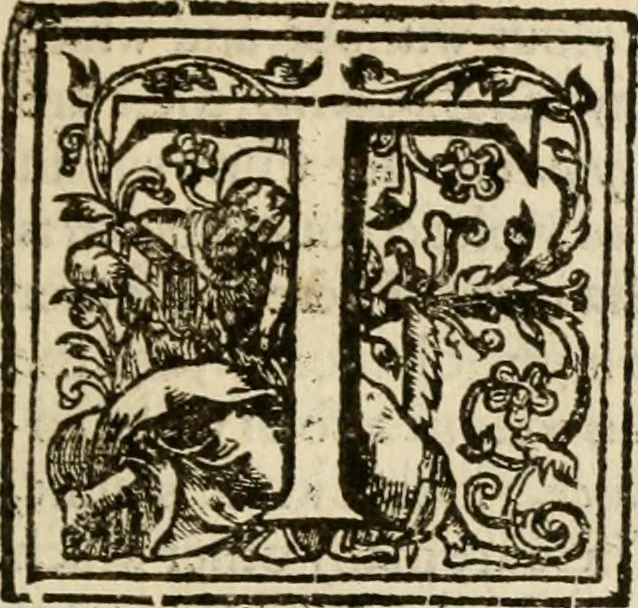 An illustration from De Novo orbe, or, the historie of the West Indies : contayning the actes and adventures of the Spanyardes, which have conquered and peopled those countries, inriched with varietie of pleasant relation of the manners, ceremonies, lawes, gouernments, and warres of the Indians, 1612, leaf 286