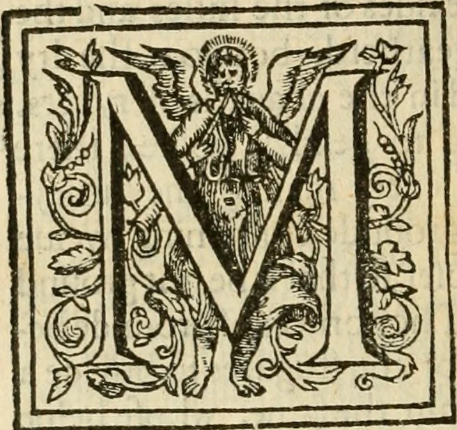 An illustration from De Novo orbe, or, the historie of the West Indies : contayning the actes and adventures of the Spanyardes, which have conquered and peopled those countries, inriched with varietie of pleasant relation of the manners, ceremonies, lawes, gouernments, and warres of the Indians, 1612, leaf 313