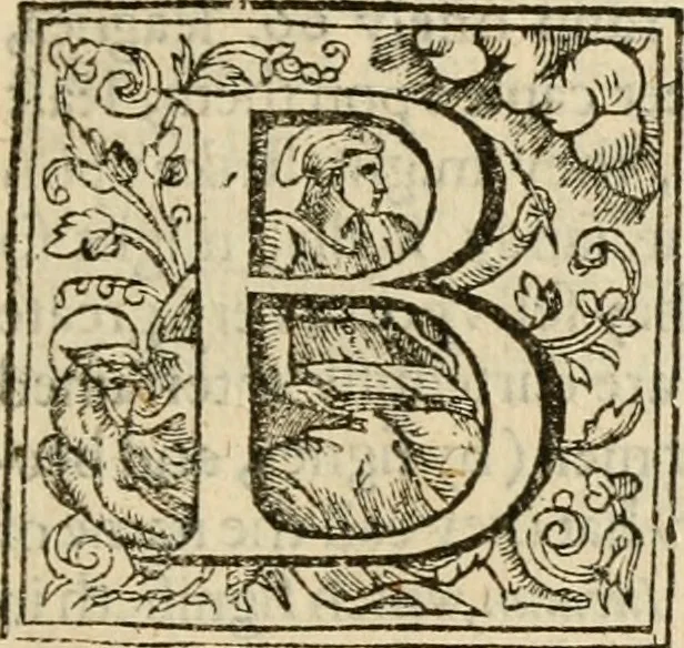 An illustration from De Novo orbe, or, the historie of the West Indies : contayning the actes and adventures of the Spanyardes, which have conquered and peopled those countries, inriched with varietie of pleasant relation of the manners, ceremonies, lawes, gouernments, and warres of the Indians, 1612, leaf 314
