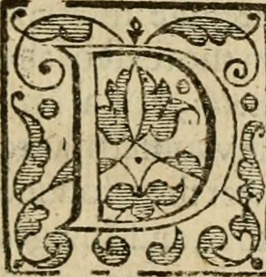 An illustration from De Novo orbe, or, the historie of the West Indies : contayning the actes and adventures of the Spanyardes, which have conquered and peopled those countries, inriched with varietie of pleasant relation of the manners, ceremonies, lawes, gouernments, and warres of the Indians, 1612, leaf 318