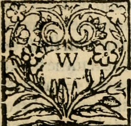 An illustration from De Novo orbe, or, the historie of the West Indies : contayning the actes and adventures of the Spanyardes, which have conquered and peopled those countries, inriched with varietie of pleasant relation of the manners, ceremonies, lawes, gouernments, and warres of the Indians, 1612, leaf 326