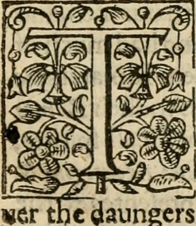 An illustration from De Novo orbe, or, the historie of the West Indies : contayning the actes and adventures of the Spanyardes, which have conquered and peopled those countries, inriched with varietie of pleasant relation of the manners, ceremonies, lawes, gouernments, and warres of the Indians, 1612, leaf 328