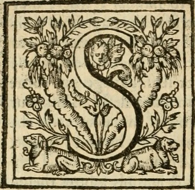 An illustration from De Novo orbe, or, the historie of the West Indies : contayning the actes and adventures of the Spanyardes, which have conquered and peopled those countries, inriched with varietie of pleasant relation of the manners, ceremonies, lawes, gouernments, and warres of the Indians, 1612, leaf 333
