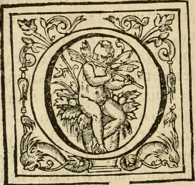 An illustration from De Novo orbe, or, the historie of the West Indies : contayning the actes and adventures of the Spanyardes, which have conquered and peopled those countries, inriched with varietie of pleasant relation of the manners, ceremonies, lawes, gouernments, and warres of the Indians, 1612, leaf 347