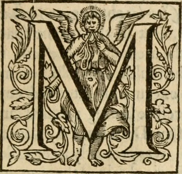 An illustration from De Novo orbe, or, the historie of the West Indies : contayning the actes and adventures of the Spanyardes, which have conquered and peopled those countries, inriched with varietie of pleasant relation of the manners, ceremonies, lawes, gouernments, and warres of the Indians, 1612, leaf 350