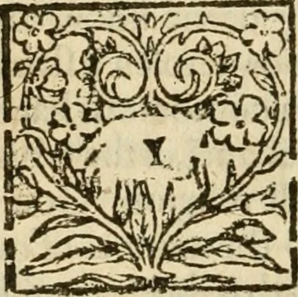 An illustration from De Novo orbe, or, the historie of the West Indies : contayning the actes and adventures of the Spanyardes, which have conquered and peopled those countries, inriched with varietie of pleasant relation of the manners, ceremonies, lawes, gouernments, and warres of the Indians, 1612, leaf 37