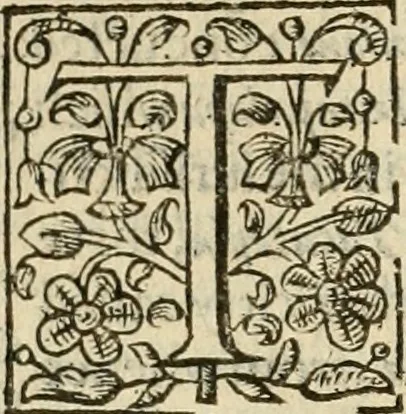 An illustration from De Novo orbe, or, the historie of the West Indies : contayning the actes and adventures of the Spanyardes, which have conquered and peopled those countries, inriched with varietie of pleasant relation of the manners, ceremonies, lawes, gouernments, and warres of the Indians, 1612, leaf 377