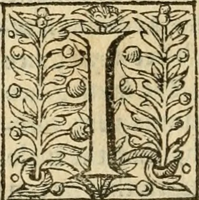 An illustration from De Novo orbe, or, the historie of the West Indies : contayning the actes and adventures of the Spanyardes, which have conquered and peopled those countries, inriched with varietie of pleasant relation of the manners, ceremonies, lawes, gouernments, and warres of the Indians, 1612, leaf 393