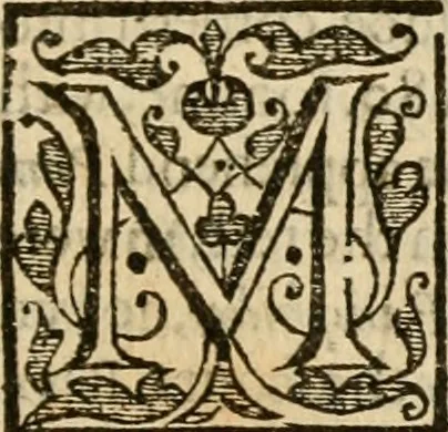 An illustration from De Novo orbe, or, the historie of the West Indies : contayning the actes and adventures of the Spanyardes, which have conquered and peopled those countries, inriched with varietie of pleasant relation of the manners, ceremonies, lawes, gouernments, and warres of the Indians, 1612, leaf 406