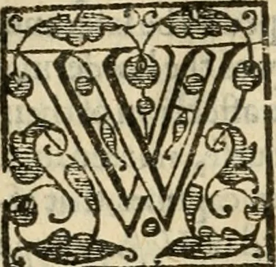 An illustration from De Novo orbe, or, the historie of the West Indies : contayning the actes and adventures of the Spanyardes, which have conquered and peopled those countries, inriched with varietie of pleasant relation of the manners, ceremonies, lawes, gouernments, and warres of the Indians, 1612, leaf 423