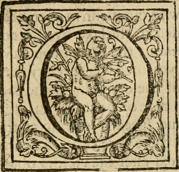 An illustration from De Novo orbe, or, the historie of the West Indies : contayning the actes and adventures of the Spanyardes, which have conquered and peopled those countries, inriched with varietie of pleasant relation of the manners, ceremonies, lawes, gouernments, and warres of the Indians, 1612, leaf 440