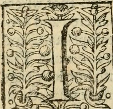 An illustration from De Novo orbe, or, the historie of the West Indies : contayning the actes and adventures of the Spanyardes, which have conquered and peopled those countries, inriched with varietie of pleasant relation of the manners, ceremonies, lawes, gouernments, and warres of the Indians, 1612, leaf 445