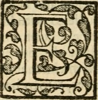 An illustration from De Novo orbe, or, the historie of the West Indies : contayning the actes and adventures of the Spanyardes, which have conquered and peopled those countries, inriched with varietie of pleasant relation of the manners, ceremonies, lawes, gouernments, and warres of the Indians, 1612, leaf 455