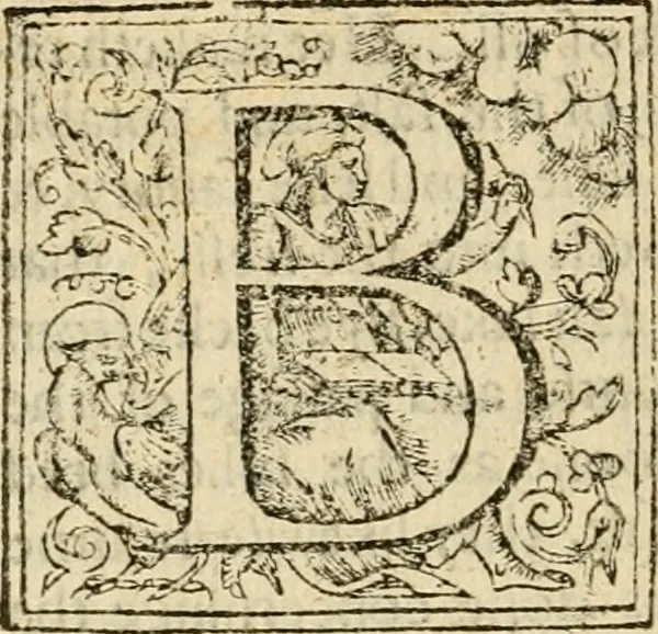 An illustration from De Novo orbe, or, the historie of the West Indies : contayning the actes and adventures of the Spanyardes, which have conquered and peopled those countries, inriched with varietie of pleasant relation of the manners, ceremonies, lawes, gouernments, and warres of the Indians, 1612, leaf 471