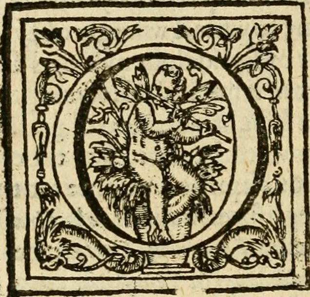 An illustration from De Novo orbe, or, the historie of the West Indies : contayning the actes and adventures of the Spanyardes, which have conquered and peopled those countries, inriched with varietie of pleasant relation of the manners, ceremonies, lawes, gouernments, and warres of the Indians, 1612, leaf 473