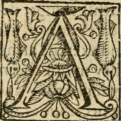 An illustration from De Novo orbe, or, the historie of the West Indies : contayning the actes and adventures of the Spanyardes, which have conquered and peopled those countries, inriched with varietie of pleasant relation of the manners, ceremonies, lawes, gouernments, and warres of the Indians, 1612, leaf 481