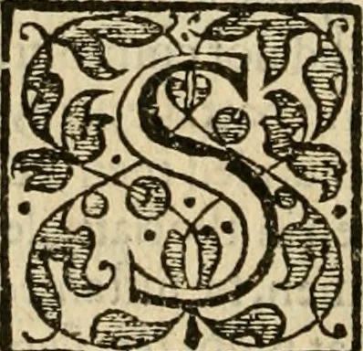 An illustration from De Novo orbe, or, the historie of the West Indies : contayning the actes and adventures of the Spanyardes, which have conquered and peopled those countries, inriched with varietie of pleasant relation of the manners, ceremonies, lawes, gouernments, and warres of the Indians, 1612, leaf 489