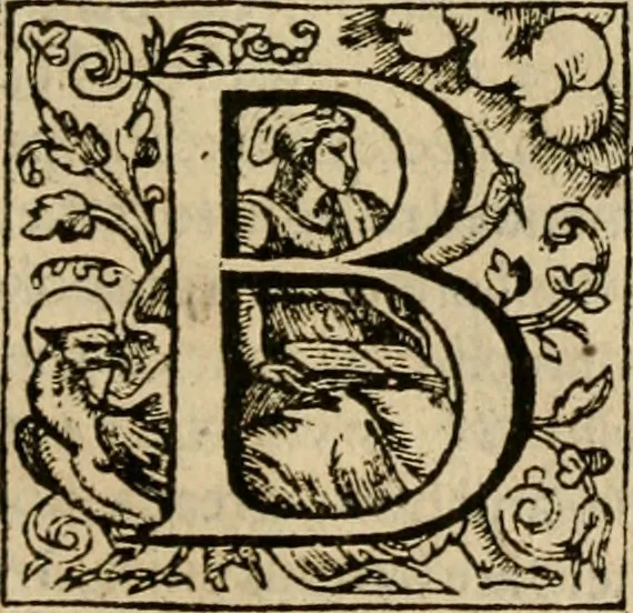An illustration from De Novo orbe, or, the historie of the West Indies : contayning the actes and adventures of the Spanyardes, which have conquered and peopled those countries, inriched with varietie of pleasant relation of the manners, ceremonies, lawes, gouernments, and warres of the Indians, 1612, leaf 492