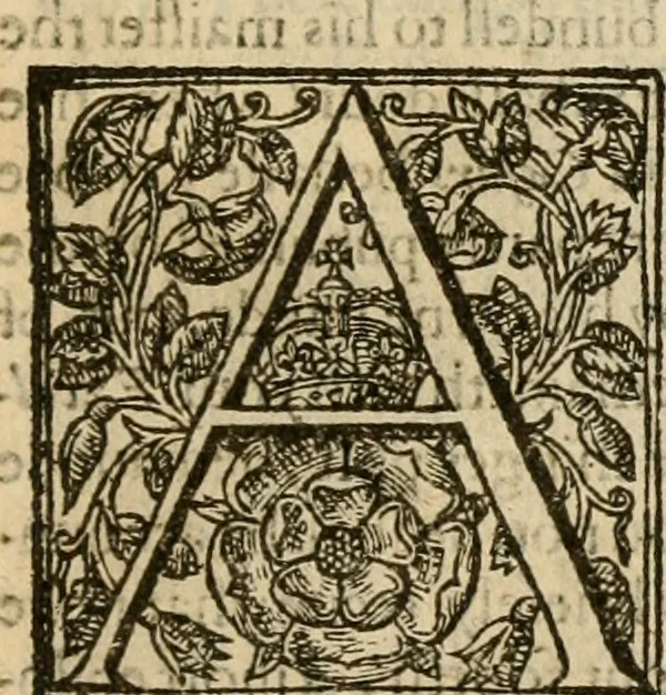 An illustration from De Novo orbe, or, the historie of the West Indies : contayning the actes and adventures of the Spanyardes, which have conquered and peopled those countries, inriched with varietie of pleasant relation of the manners, ceremonies, lawes, gouernments, and warres of the Indians, 1612, leaf 494