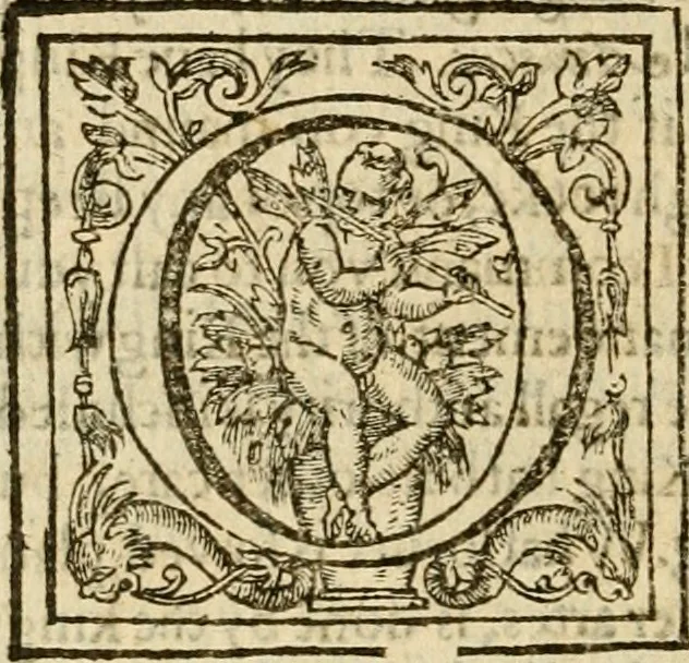 An illustration from De Novo orbe, or, the historie of the West Indies : contayning the actes and adventures of the Spanyardes, which have conquered and peopled those countries, inriched with varietie of pleasant relation of the manners, ceremonies, lawes, gouernments, and warres of the Indians, 1612, leaf 501