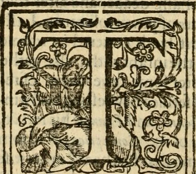 An illustration from De Novo orbe, or, the historie of the West Indies : contayning the actes and adventures of the Spanyardes, which have conquered and peopled those countries, inriched with varietie of pleasant relation of the manners, ceremonies, lawes, gouernments, and warres of the Indians, 1612, leaf 513
